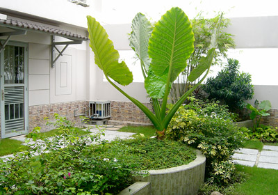  Các giải pháp cho ngôi nhà thân thiện môi trường