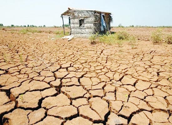 Tăng khả năng thích ứng với biến đổi khí hậu