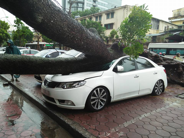 Các quy luật thời tiết không còn giống như trước