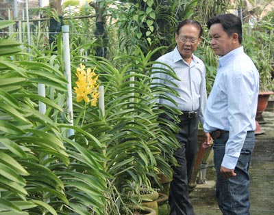 TPHCM: Sản xuất nông nghiệp đô thị kết hợp du lịch