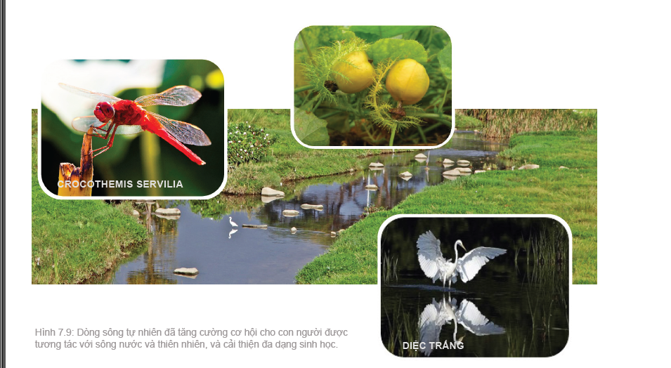 Cẩm nang “Thiết kế đô thị thích ứng với nước”